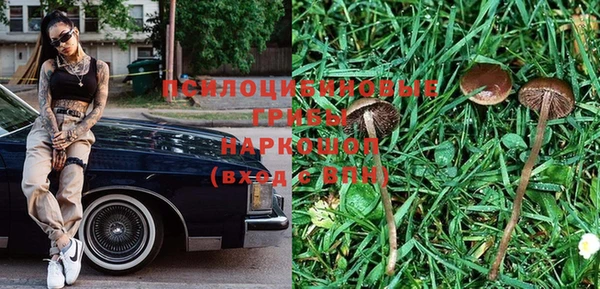 ГАЛЛЮЦИНОГЕННЫЕ ГРИБЫ Костерёво