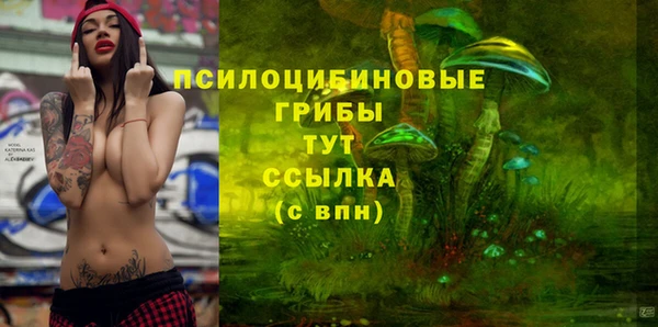 ГАЛЛЮЦИНОГЕННЫЕ ГРИБЫ Корсаков