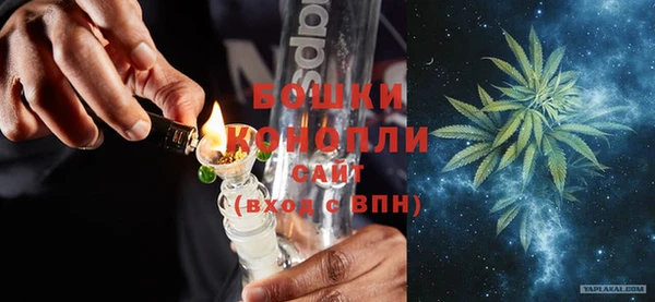 ГАЛЛЮЦИНОГЕННЫЕ ГРИБЫ Корсаков