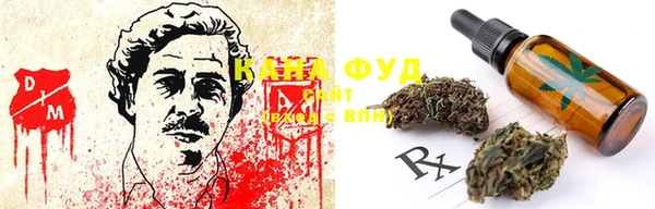 ГАЛЛЮЦИНОГЕННЫЕ ГРИБЫ Костерёво