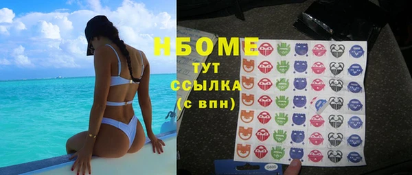 ГАЛЛЮЦИНОГЕННЫЕ ГРИБЫ Корсаков