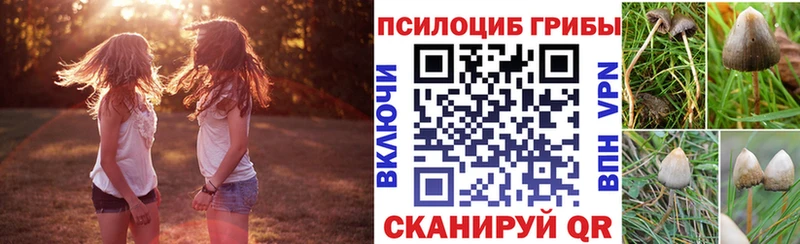 Галлюциногенные грибы ЛСД  Купить где  Ногинск 